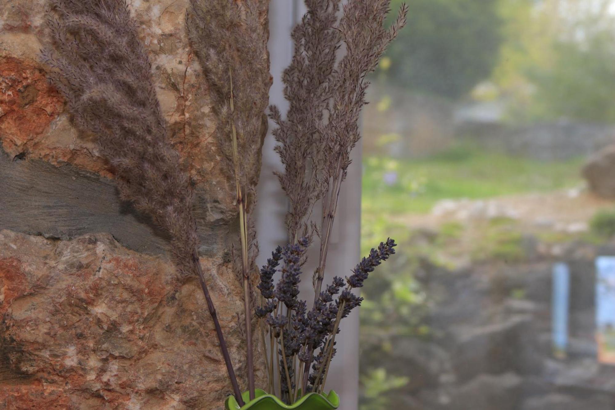 Apartman Kristina Vrbnik Dış mekan fotoğraf